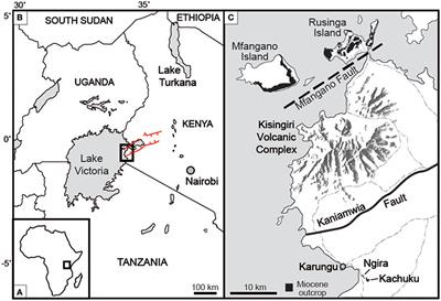 The Early Miocene Critical Zone at Karungu, Western Kenya: An Equatorial, Open Habitat with Few Primate Remains